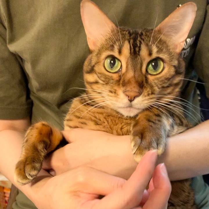 A0be80d1 58f1 4b34 a3f1 d3445bfa8dee 1598407530490