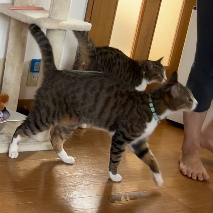 A0bef338 4b9d 4eb0 b674 143a1adeb3e1 1715985782505