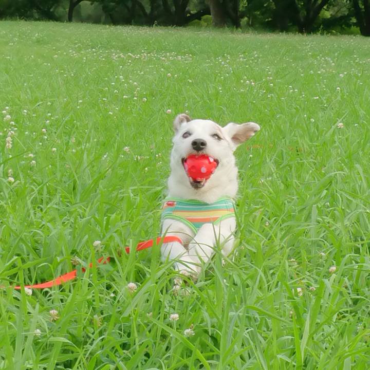 A0bf0449 3395 47a0 af57 c91770dea0e6 1562800907328