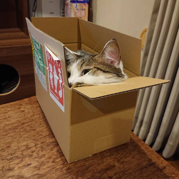 A0bf0633 49ba 4875 8f70 2514d193326a 1724727913757