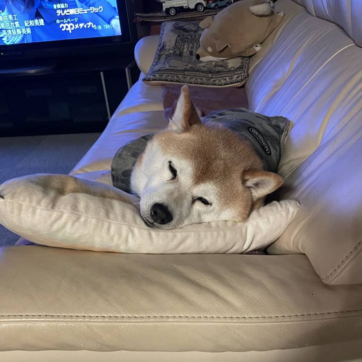 A0bf4607 fa8e 4324 a6a9 9605174145d9 1644491141627