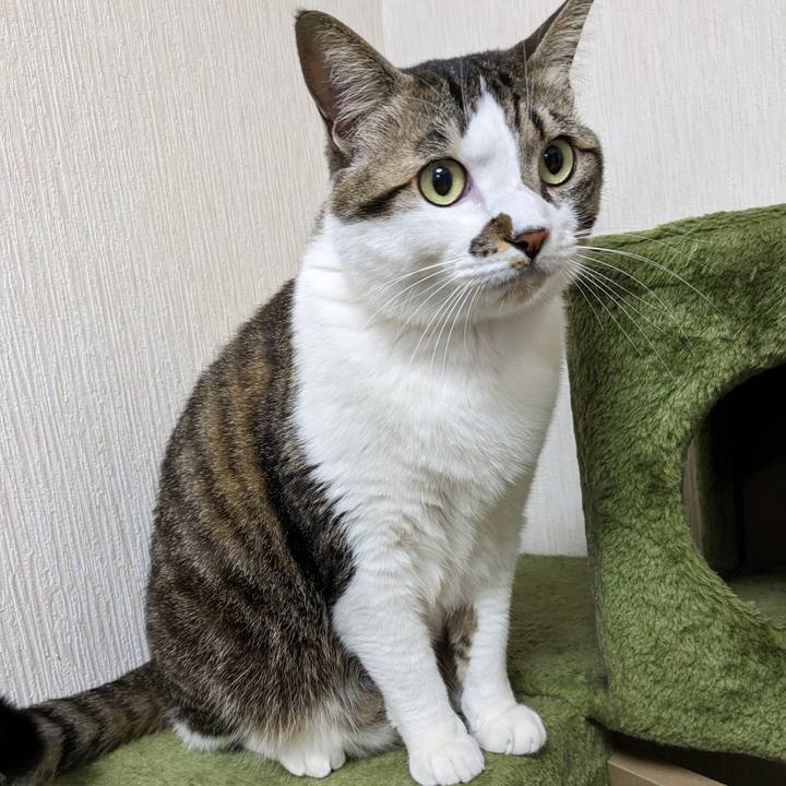 A0bf4c1e 0148 4ad1 9741 41b8d1014e30 1676071098335