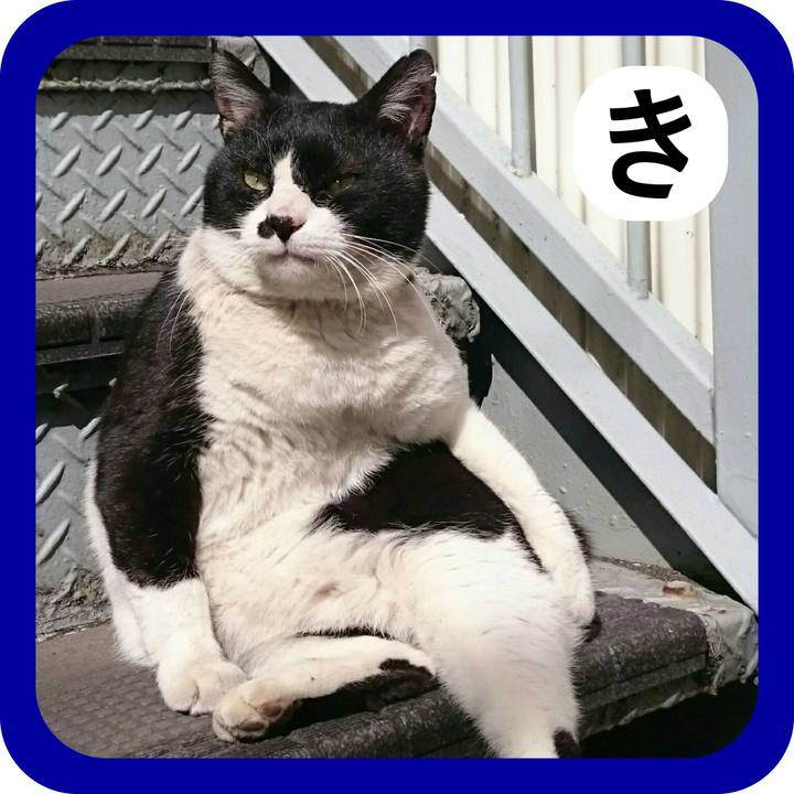 A0bf7171 fc97 4d06 b216 bc19ab8b946c 1514802889061