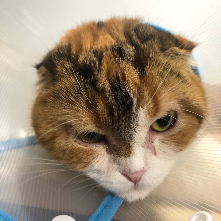 A0bf8ef7 3a4d 4f19 8f19 cf1108e8eab0 1568024258625