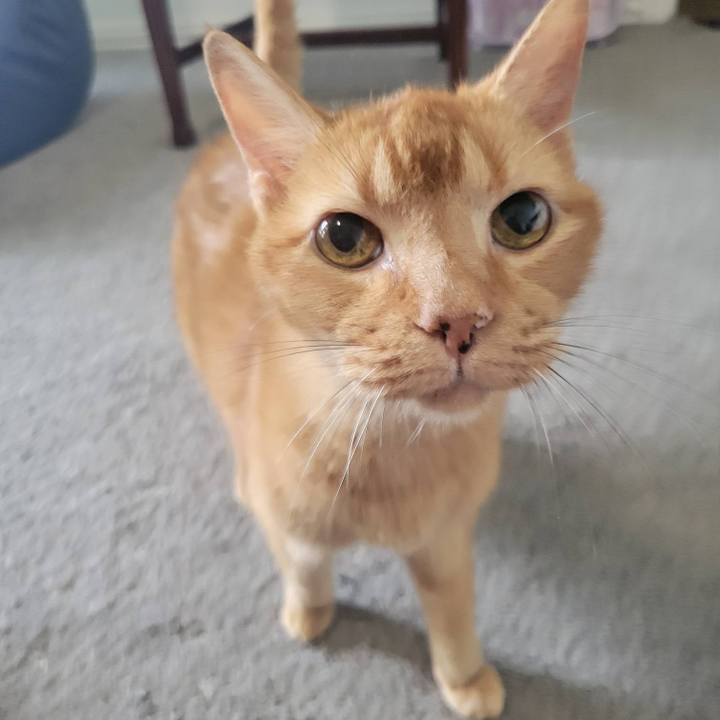 A0bf9026 2747 4b58 96f8 c71b3eaba356 1743910067472