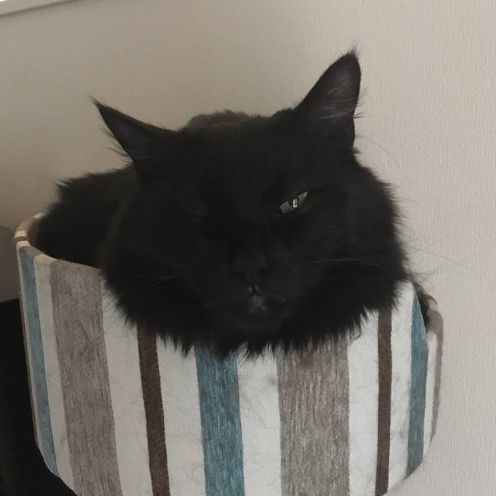 A0bfac40 c1c2 42c6 a717 8d53f05ea94a 1523694540023