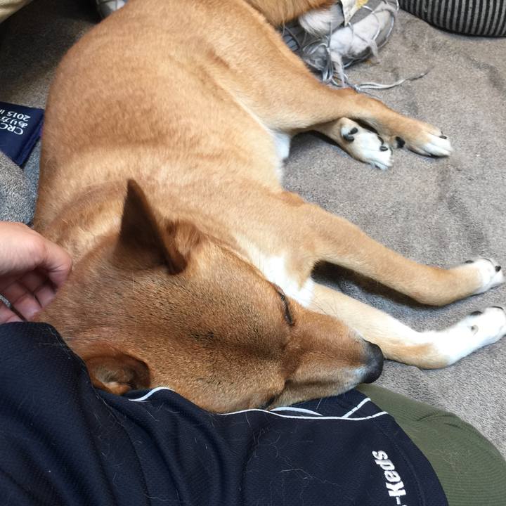 A0bfc73b bcde 4c9b b78e 5d178082c71c 1593336763575