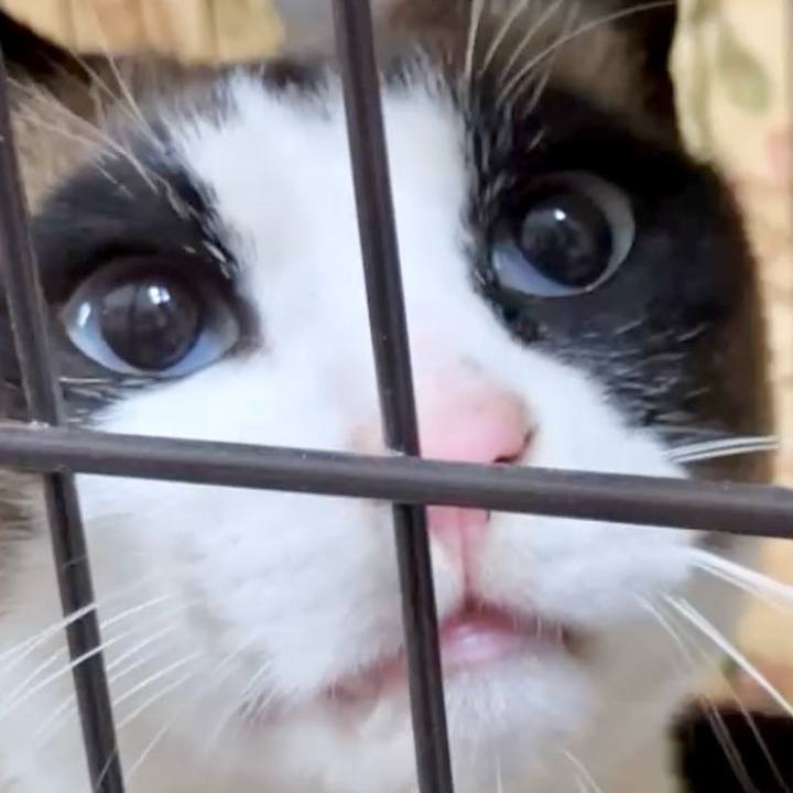 A0bfdf6b 8da0 4ae4 82f3 6521918459d6 1743386127362