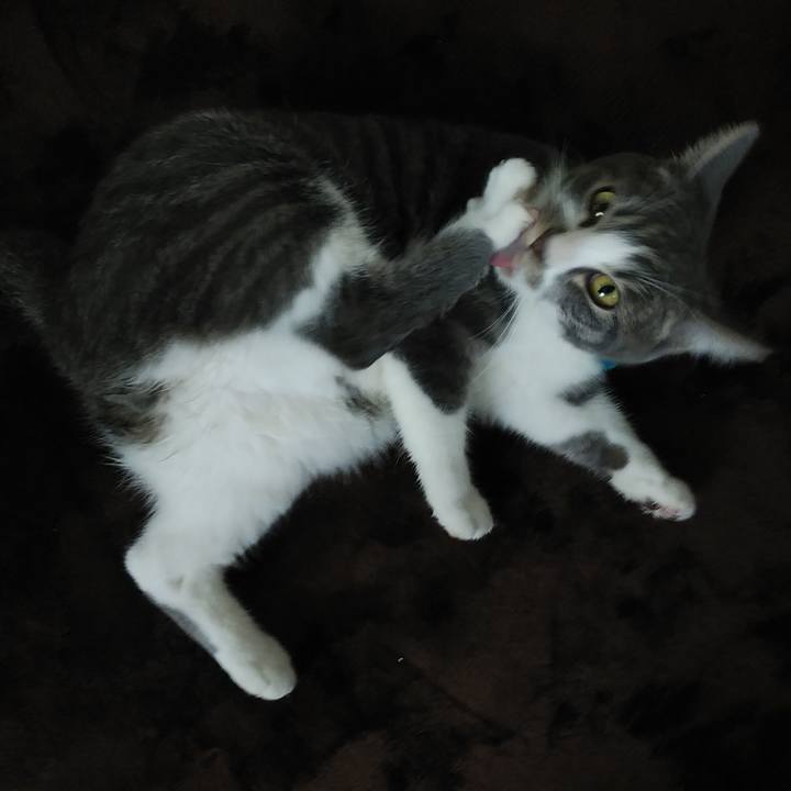 A0bffa45 3e88 47be 9145 5c45035fd37d 1576626290271