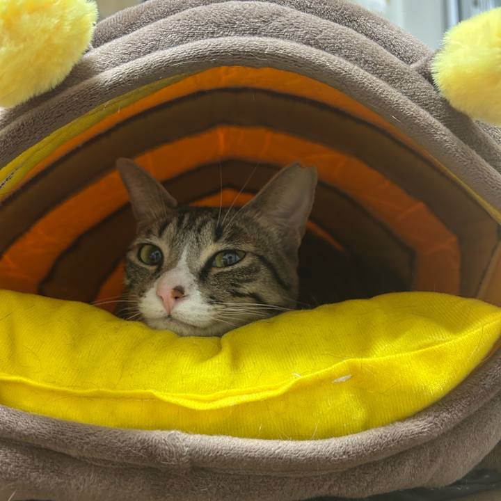 A0c03320 aeb4 4509 8048 584b03864266 1770071356873