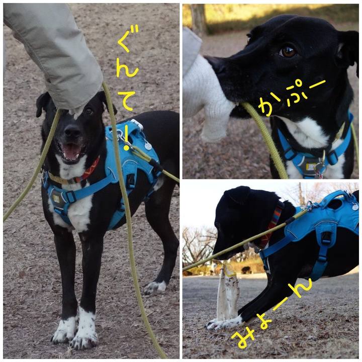 A0c0612b 48e1 415f 9ef9 83e93acd2486 1611967333877