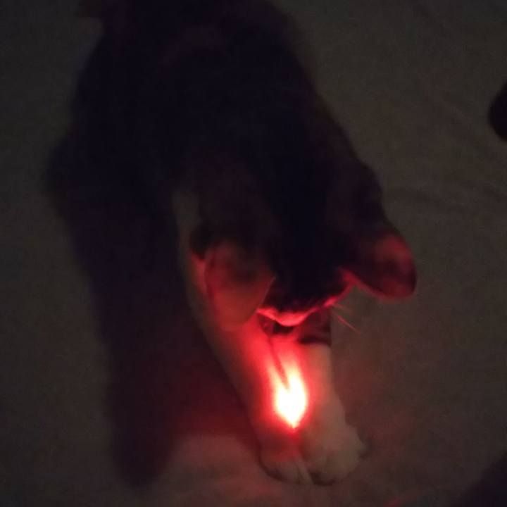 A0c077ea 9348 4e48 a170 ac76fe6ebdd3 1663883646287