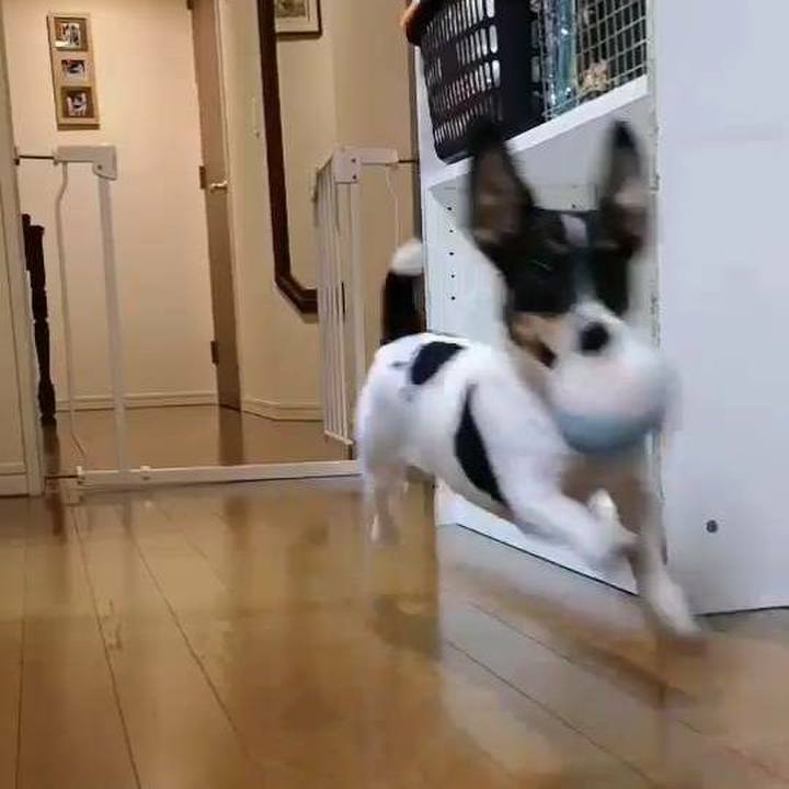 A0c0879e 039f 492f ab90 2244018722b1 1543415396508