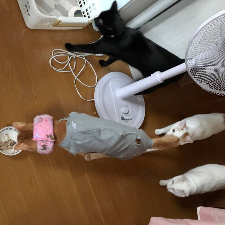 A0c0a092 f618 4db1 b1ee b2d33a7a7fd4 1529702568326