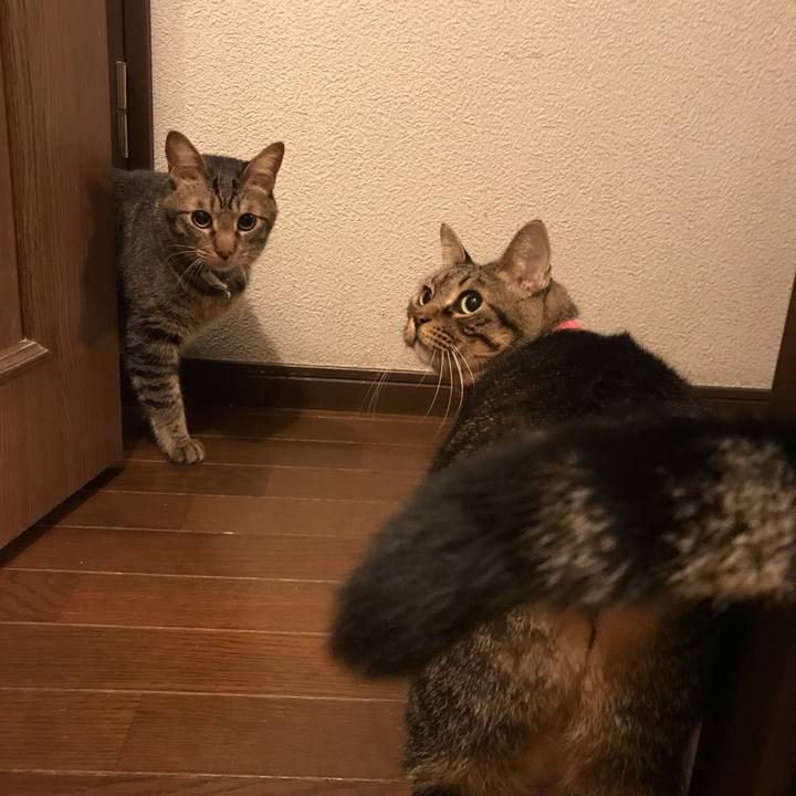 A0c0a39d 844a 4c06 ae80 b6a19b58be92 1541938780969