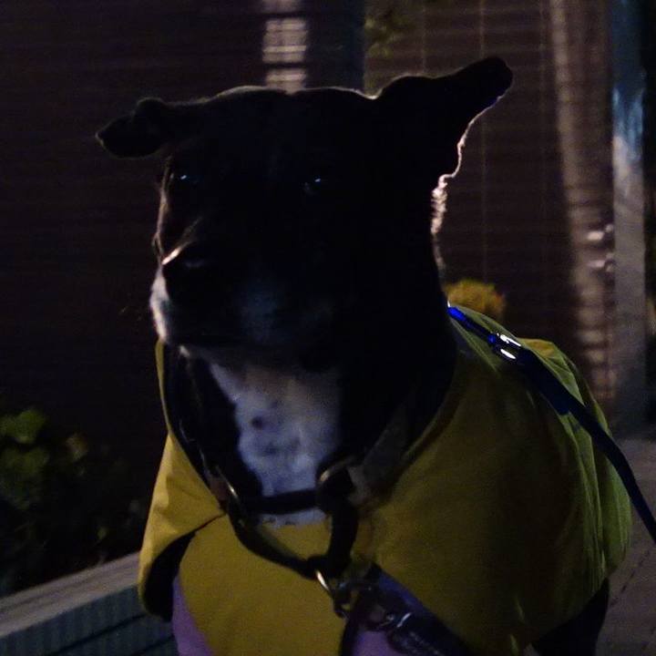 A0c0c38f e8e4 4df6 8ca5 824b6f2c9462 1738493655948