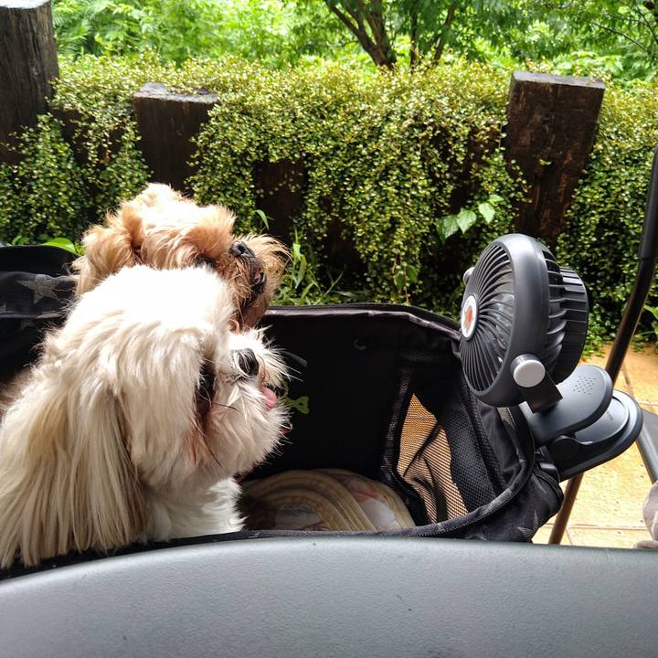 A0c0cec2 0a8b 4730 8033 628931abbcee 1629286911499