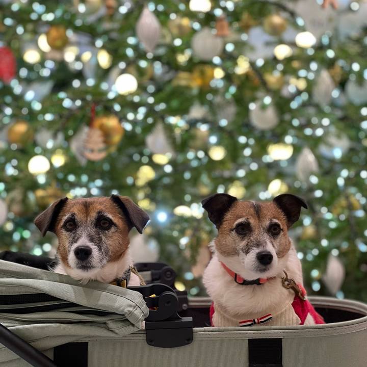 A0c0ee52 fa8f 40ff 8305 1aa85386aabf 1735093020073