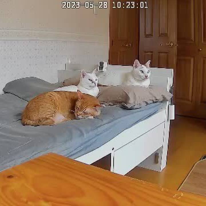 A0c144a5 68b8 4fd9 987a ae6e1d909dc7 1685237029276