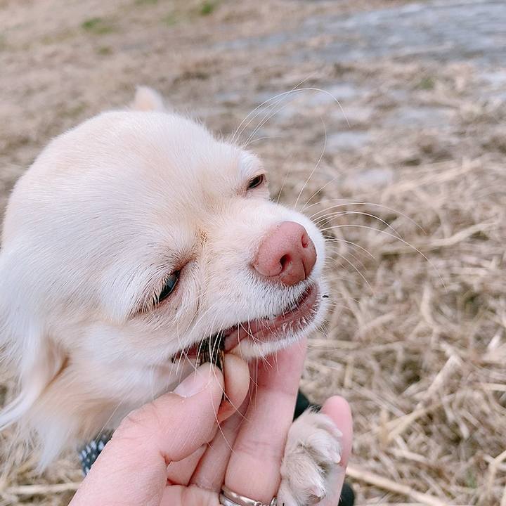 A0c183eb 7c8a 44d6 9c21 51d7618f0948 1609922676382