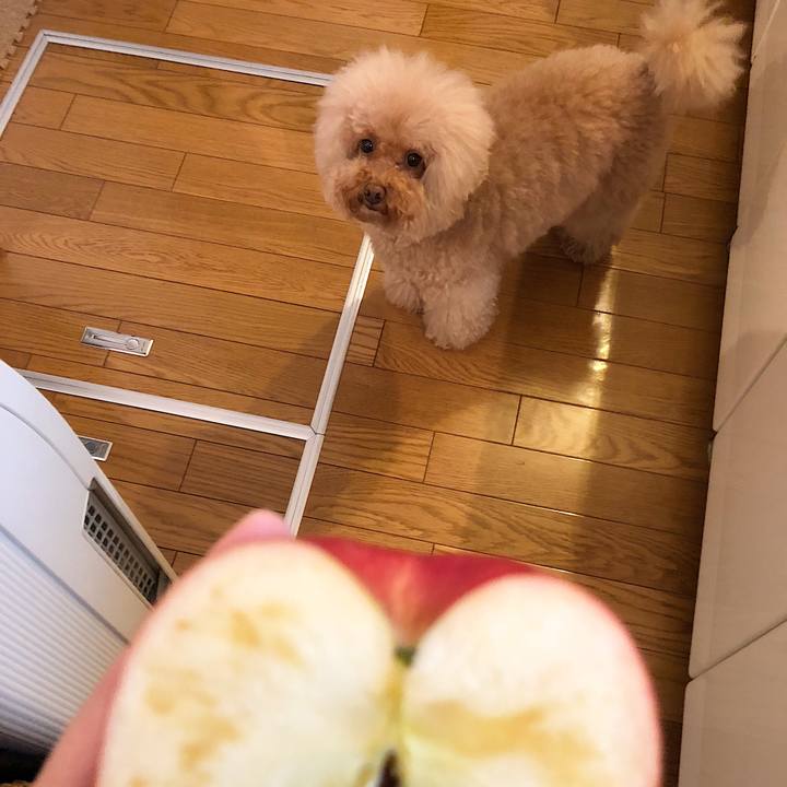 A0c1a585 5eaa 4ee0 8c2d b697b2ecf460 1541312166033