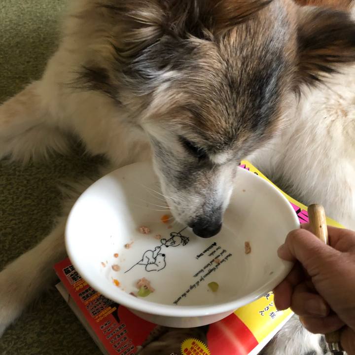 A0c1aa0a bf1b 4aff ac16 c35e8394a98a 1551845257348