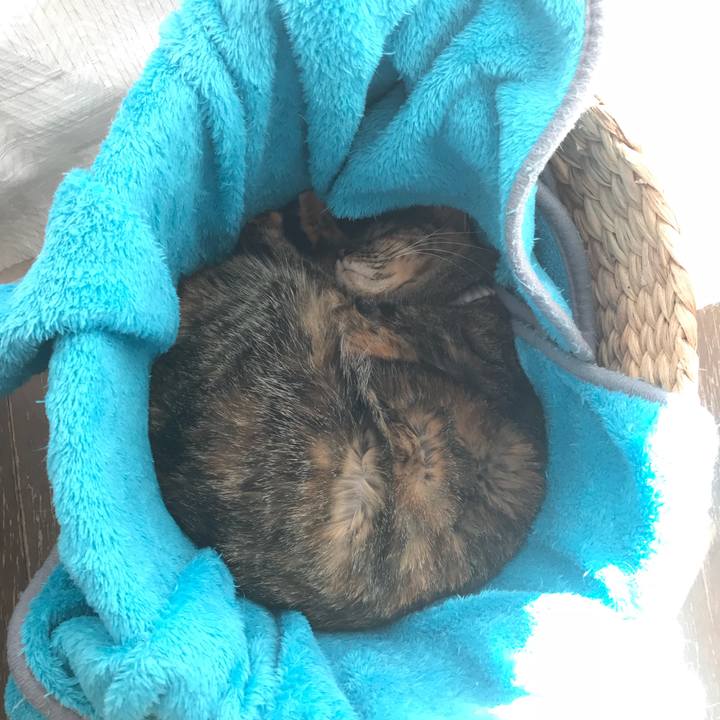 A0c1f9af 8bea 4022 b448 73982bb70f42 1517982904915