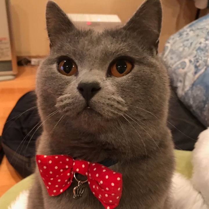 A0c20df1 bea5 40fb 8c49 96bd99d91c08 1545786581435