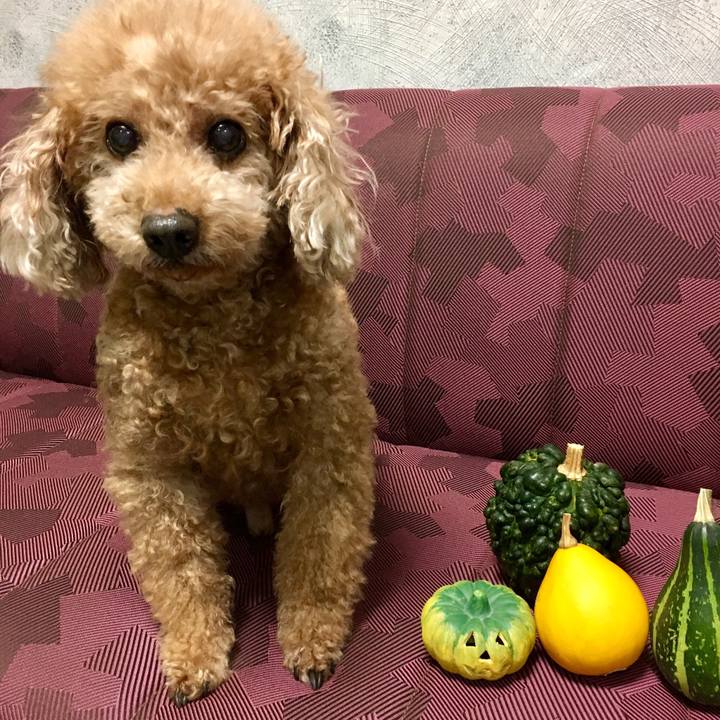 A0c224e3 3a5b 42e6 9b1d 8a87c8316c86 1509449755527