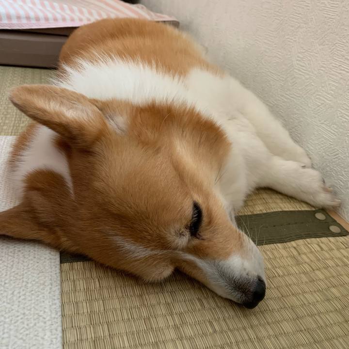 A0c28870 182c 47b4 b3ba 3cdc9f630a9e 1690088196684