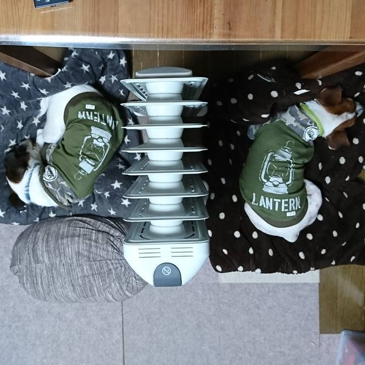 A0c2e902 352d 41d0 9f63 7bbc4bf0734e 1611961301323