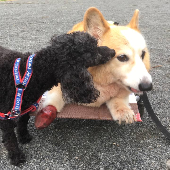 A0c34984 5ee0 4ac8 a5f9 ef171790ccc4 1635471590396