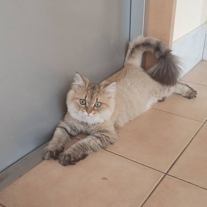 A0c351f6 8183 4a85 b86c a67470be1aea 1568180273082