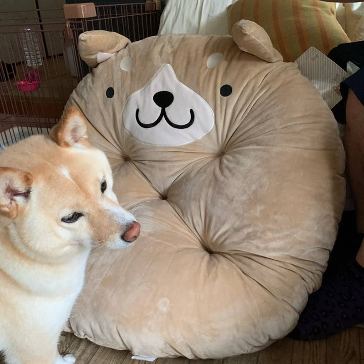 A0c36118 6b8c 4159 bc38 b3af8ab36879 1625383616499