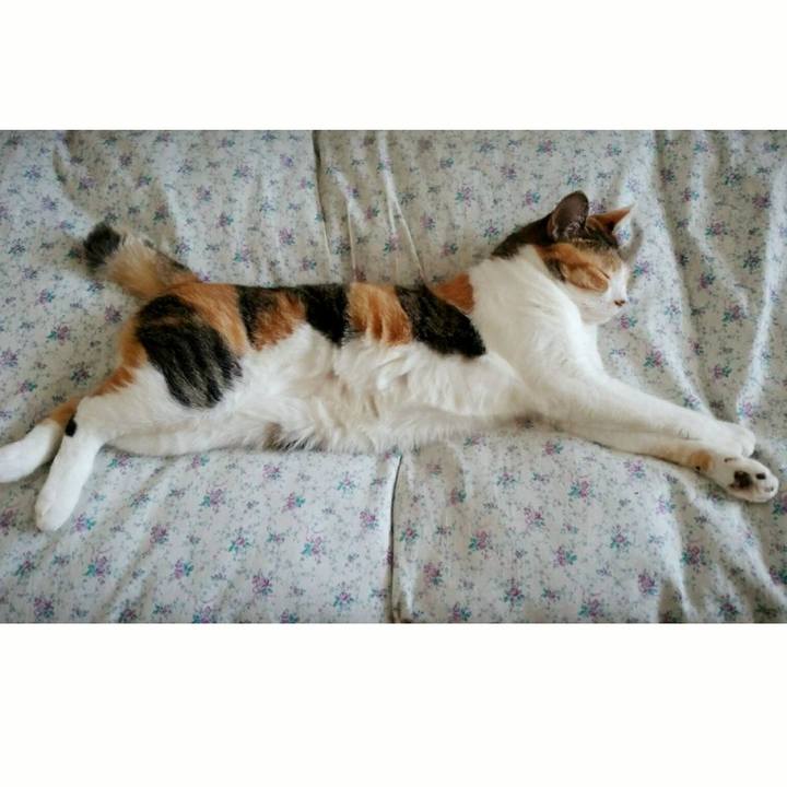 A0c3655e 26aa 427f a8a1 cb6852941df5 1519441976183