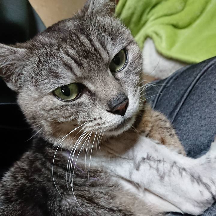 A0c3ae75 c98d 4ab6 afd9 72f032457c88 1589752849736