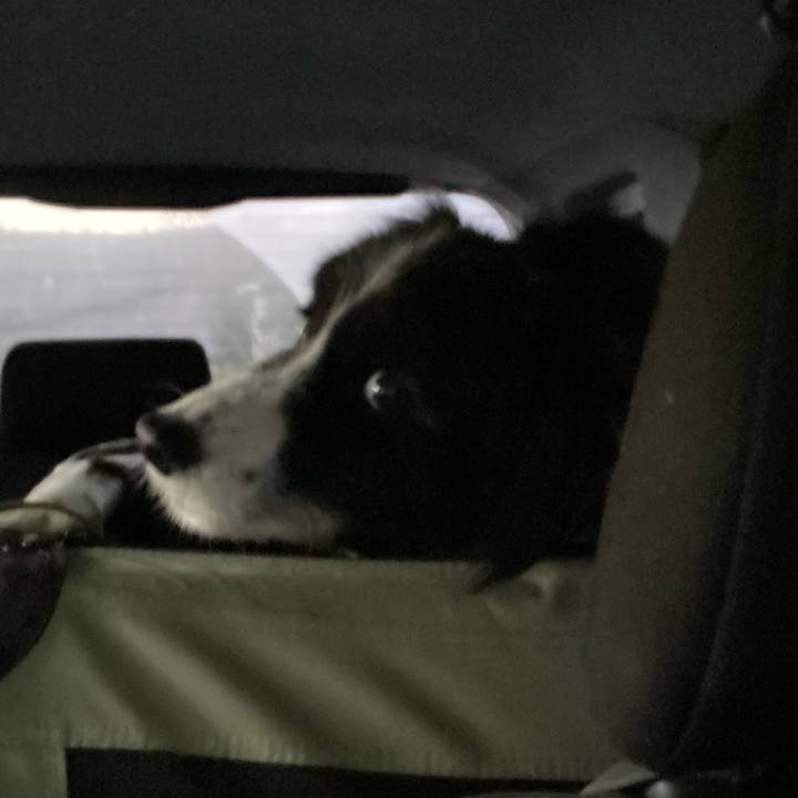 A0c3eba7 3223 4211 90b7 0dfed74427d7 1702418777271