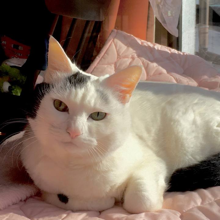 A0c3f040 a84d 4cb6 af2a e30884843bba 1576739974800