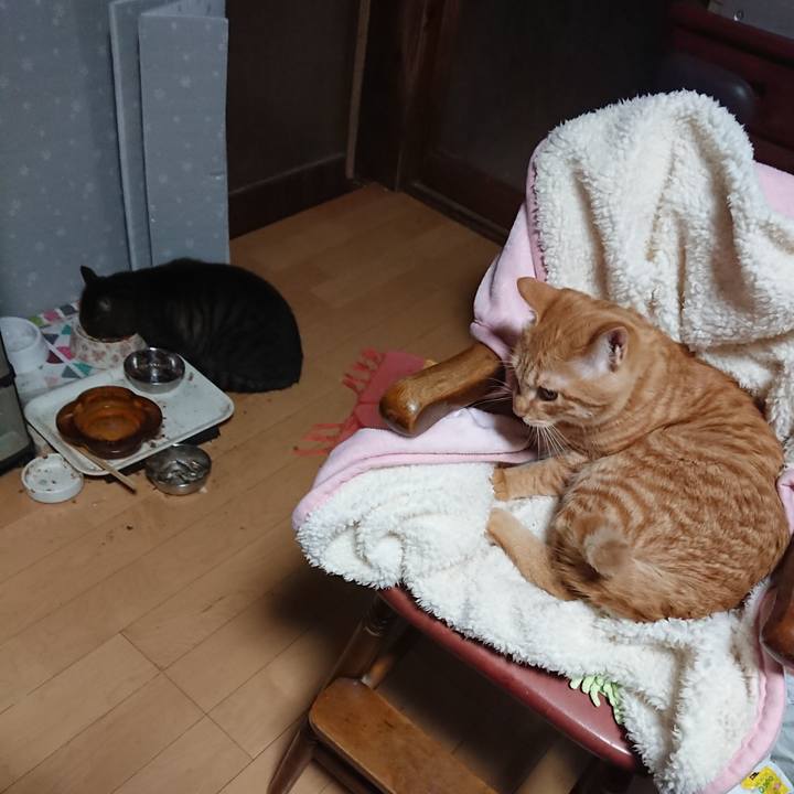 A0c41fe6 88e1 48e6 b14a 2e3bac0093de 1638565507105