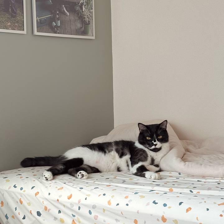 A0c42d23 8377 4dca a9e2 177479b4344c 1755512059525