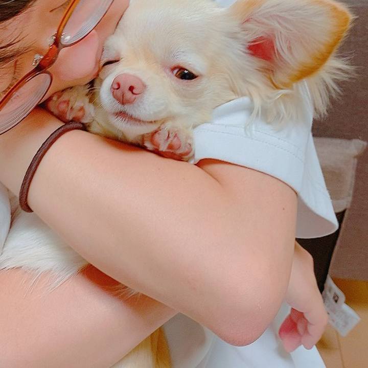 A0c435dd 7139 4595 9691 2dd044b0a6e4 1621568117471