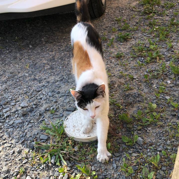 A0c46242 4887 420e a8bb 0d5936351c50 1627425535270