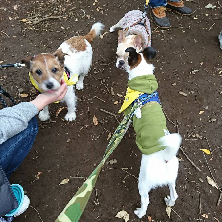 A0c48155 fbb6 4476 ba97 8ccaa63d89e8 1509178133963