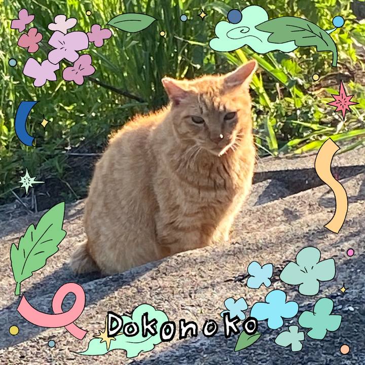 A0c482cd 4ad1 473e a1bb 97ec4cce2b88 1717639241166