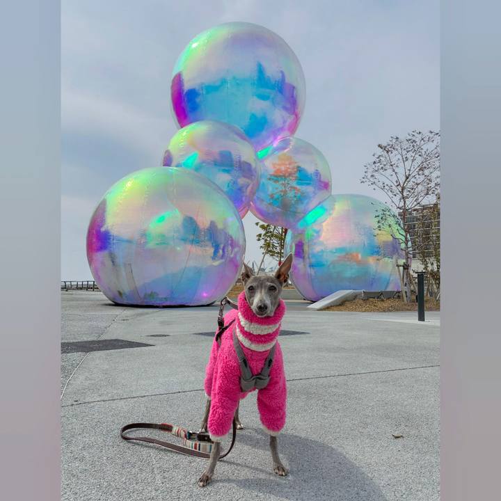 A0c497ae 78ec 4943 a735 46901cb932fa 1773994502251