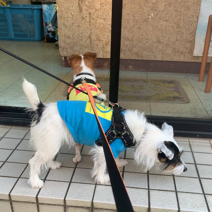 A0c4a525 1a79 4fc2 8654 1d97aafe03be 1633939848757