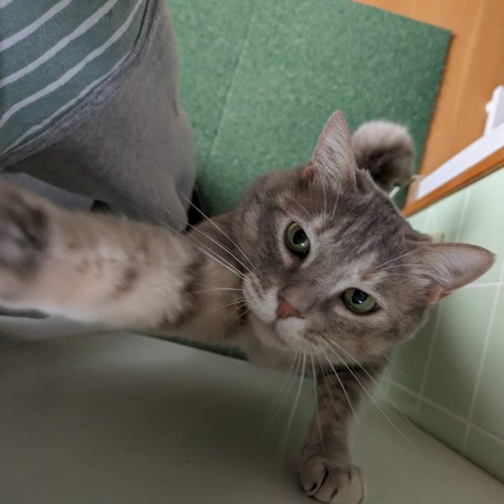 A0c4adf3 f7fb 4c44 95fe 98eae4fc3034 1684050166814