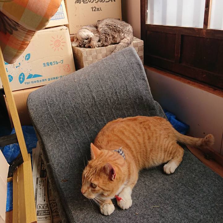 A0c4d5c8 fd7b 463f 80e4 3aabbe7be1c8 1573964502625