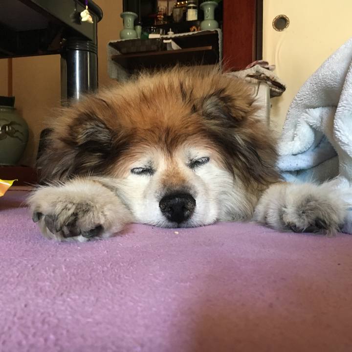 A0c4e7e1 ec2b 4260 b1ca 616e91a7af92 1556798050417