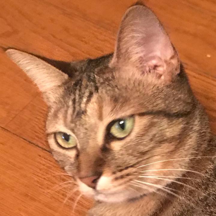 A0c524cd ba03 46af 8570 00c39cfc8790 1598093464037